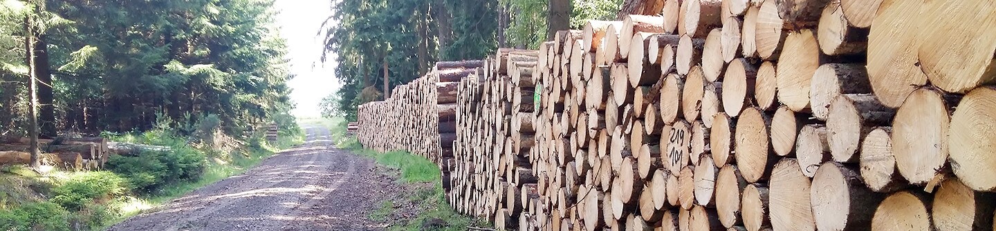 Logpiles by the road
