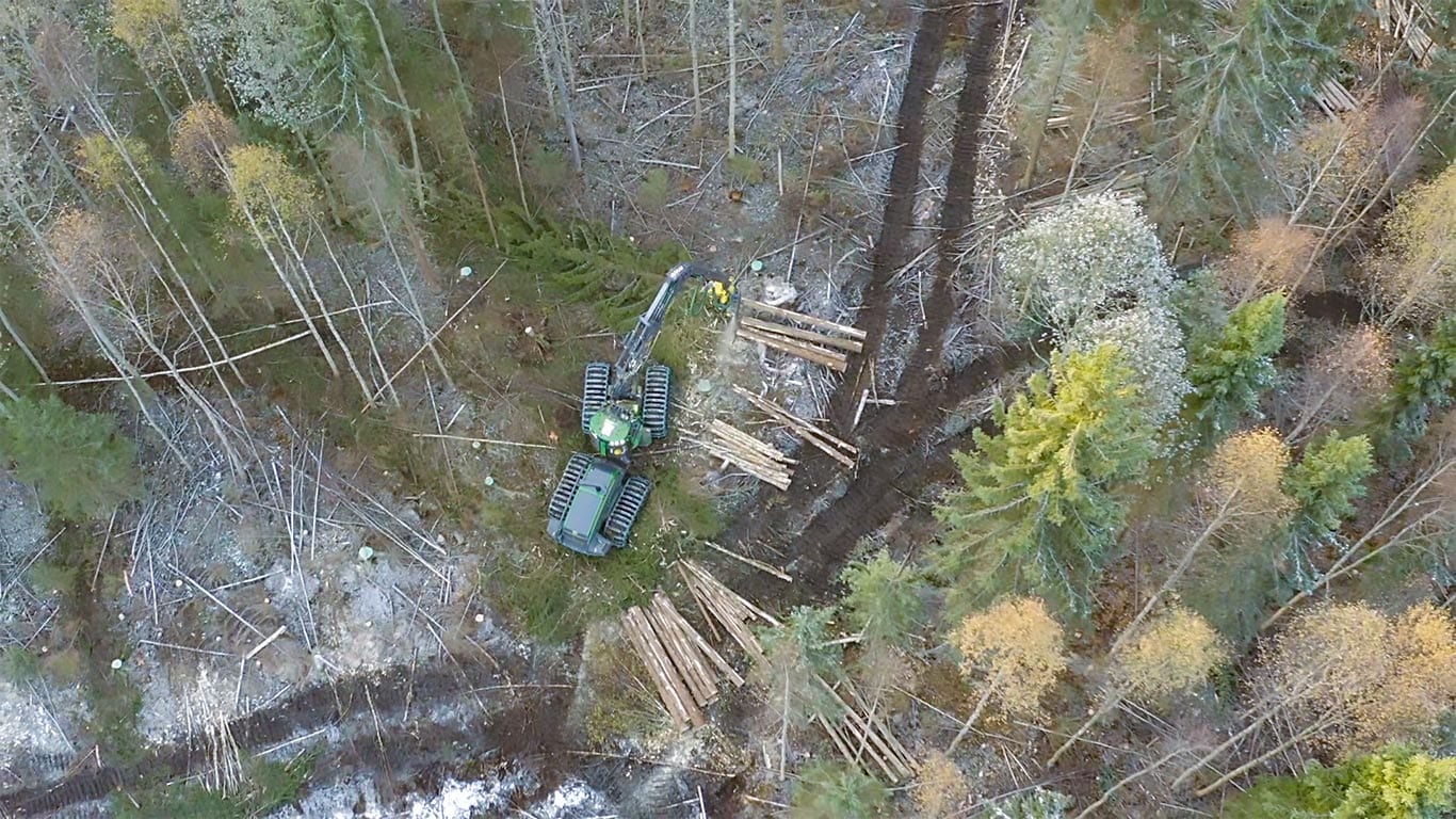 Machine working in the forest.
