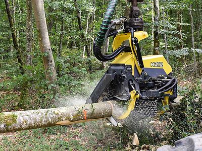 H212 cutting a tree log